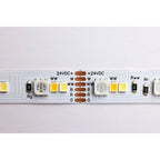 Dimension Pro Tape light strip 16 ft. Hi-Output RGB plus Tunable White Plug connection Starfish IOT Capable IR Remote Included