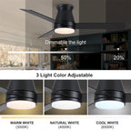 Ventilateur de plafond Lowe Profile 48 avec lumière