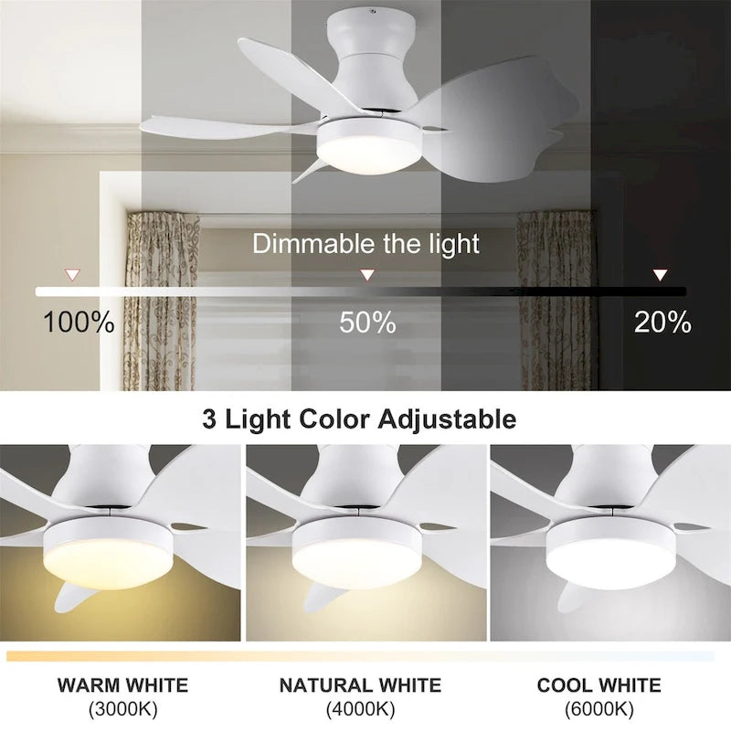 30 In Small Kids Ceiling Fan Lighting with Remote Control