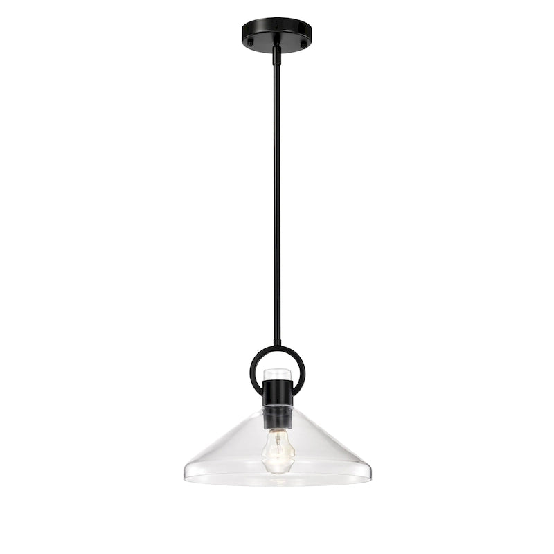 Andros Glass Cone Shade 1-Light Downrod Pendant Light